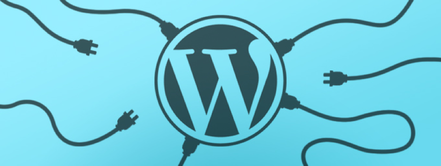 wordpress3